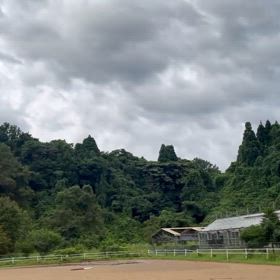 2024/07/21の画像