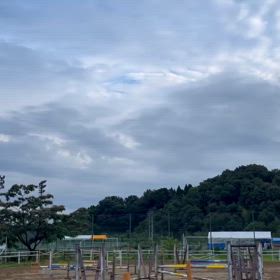 2024/07/19の画像