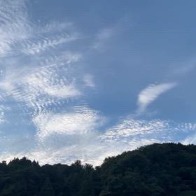 2024/07/27の画像