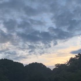 2024/07/25の画像