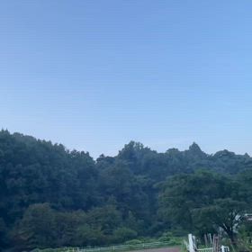 2024/08/05の画像