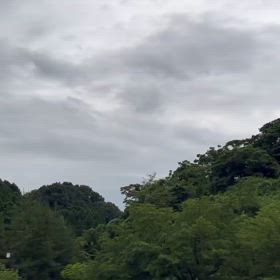 2024/06/30の画像