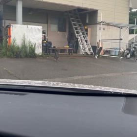 2024/07/15の画像
