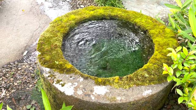 福井市の養浩館庭園の記事動画
