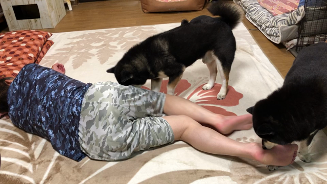 皮膚のみモテ度100％の記事動画