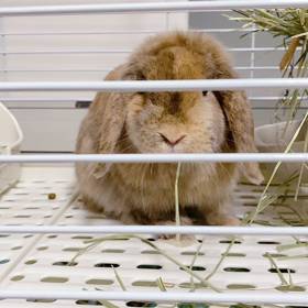 動画の画像