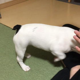 おて！の画像