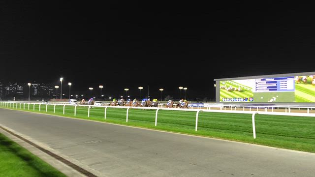 年始のメイダン競馬場の記事動画
