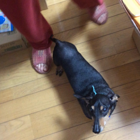 ご挨拶の画像