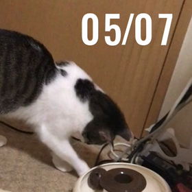 5月7日のもうひとつのことの画像