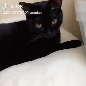 Tiktok 1個しかできなかった（笑）の画像