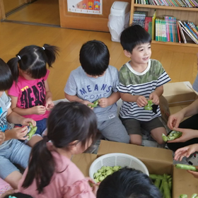 旬の味ソラマメの画像