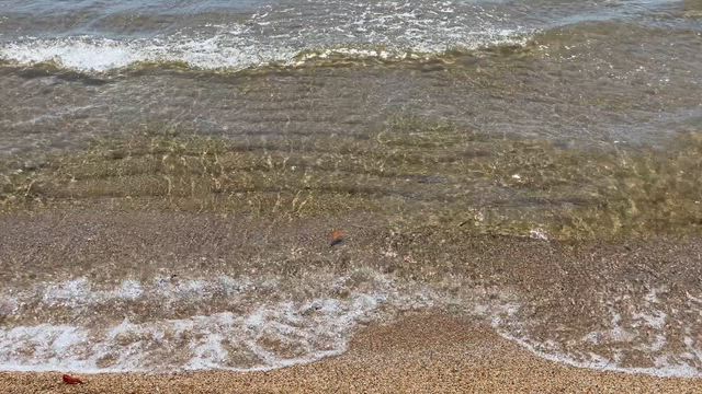 久しぶりの海の記事動画