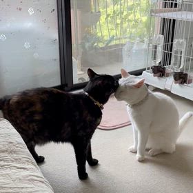何でもない日常が宝物の画像