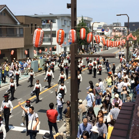 今日は愛犬の日の画像