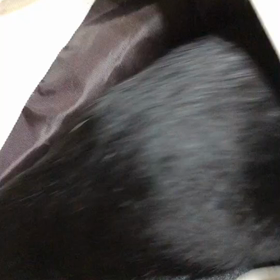 ぼくも行く　の画像