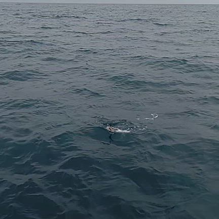 ようやくきたね〜の記事動画