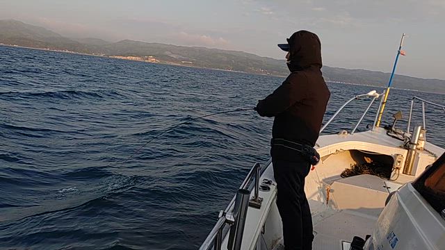 リアルタイム釣果1の記事動画