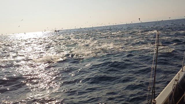 アイを曲げられた。の記事動画