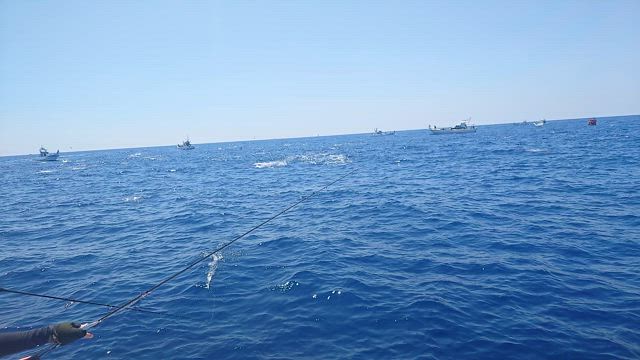ハラハラドキドキの！メバチ４１．４キロの記事動画