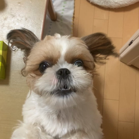 夏バテ知らずの 次女の画像