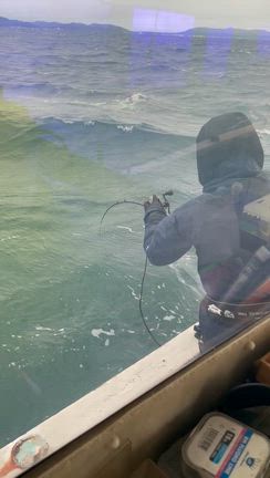 2月7日タチウオ出船の記事動画