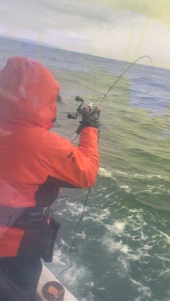 2月7日タチウオ出船の記事動画