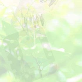 体調不良…次々との画像
