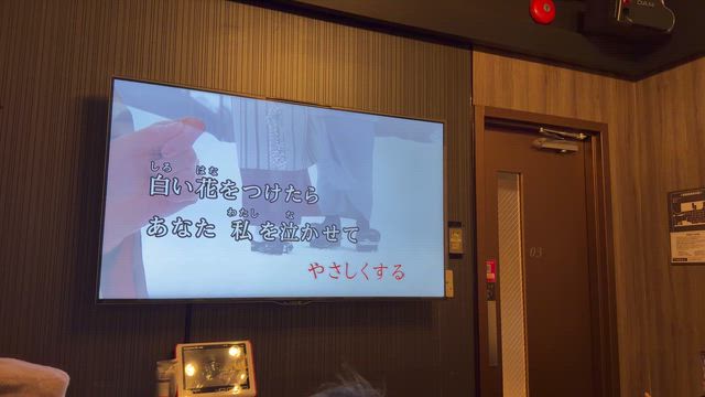 二次会はさすがハードコアファミリーのマニアックカラオケ！の記事動画