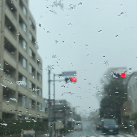 昨日の雪の画像
