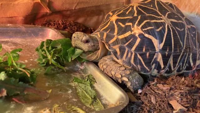2/2 小山さんの食欲の記事動画