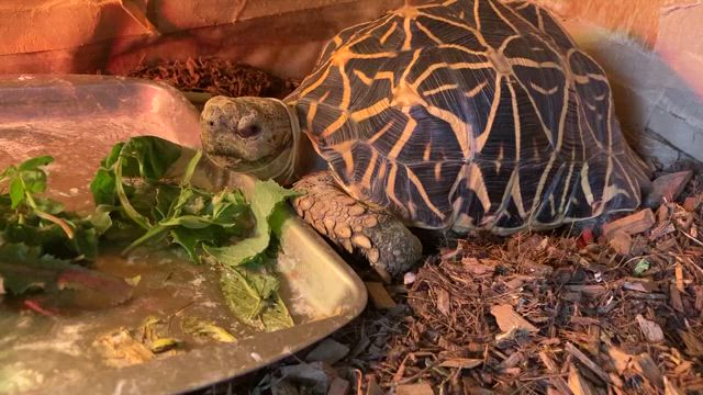2/2 小山さんの食欲の記事動画