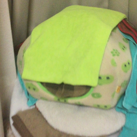 花のハナシ３の画像