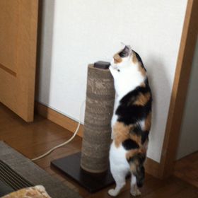 見たな？の画像