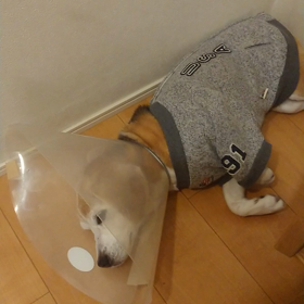 うに痙攣するの画像