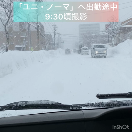 いよいよ本気を出してきた？の記事動画