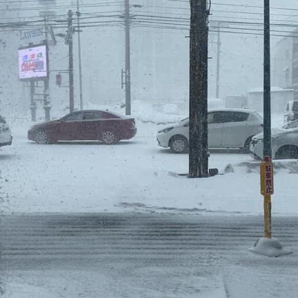 なかなかの雪の記事動画