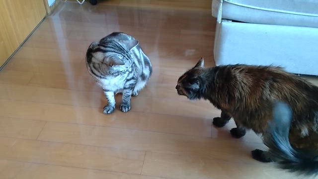 少し片付けの記事動画