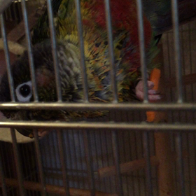 食べるスタイルも自由すぎる！の画像