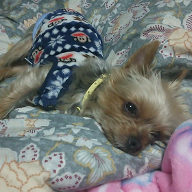 ある意味の画像