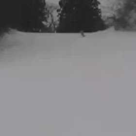 出来上がりました。の画像