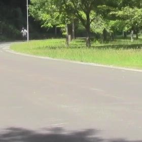 7月11日青森インラインスキー倶楽部の活動の画像