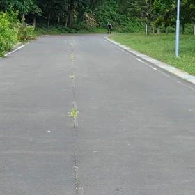 県立美術館で練習してますの画像