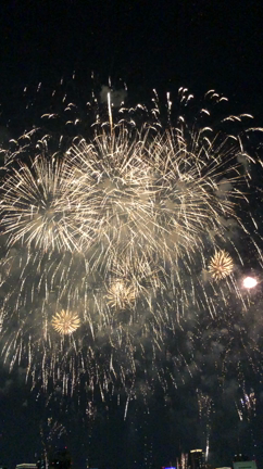 夏の風物詩✨の記事動画