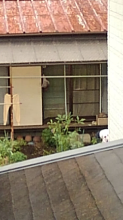 【狂乱近藤系異世界】リンク集１１の記事動画