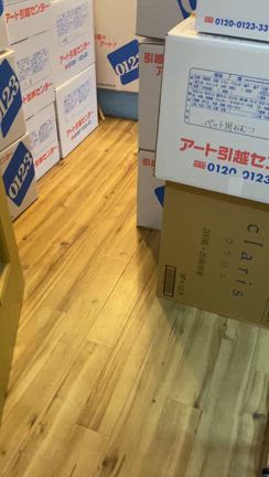 引越しのタイミングで最悪な事態の記事動画