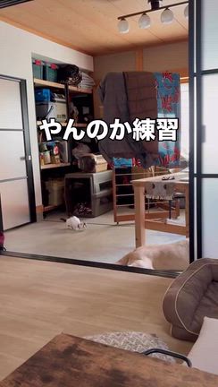 ってやりたいシルバーウィークの記事動画