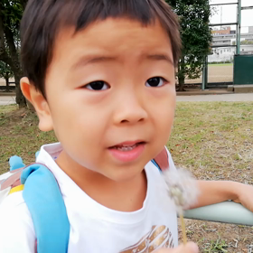 綿毛の画像