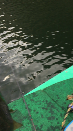 魚探を使った！バスのレンジ確認方の記事動画