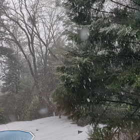 北カリフォルニアも春の雪の画像